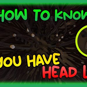 1766740544 maxresdefault