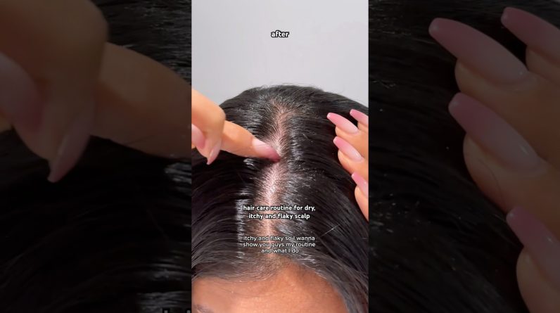 1766769826 maxresdefault