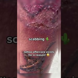 1766784525 maxresdefault