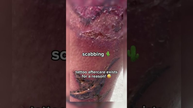 1766784525 maxresdefault