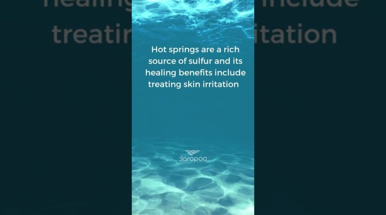 1766788667 maxresdefault