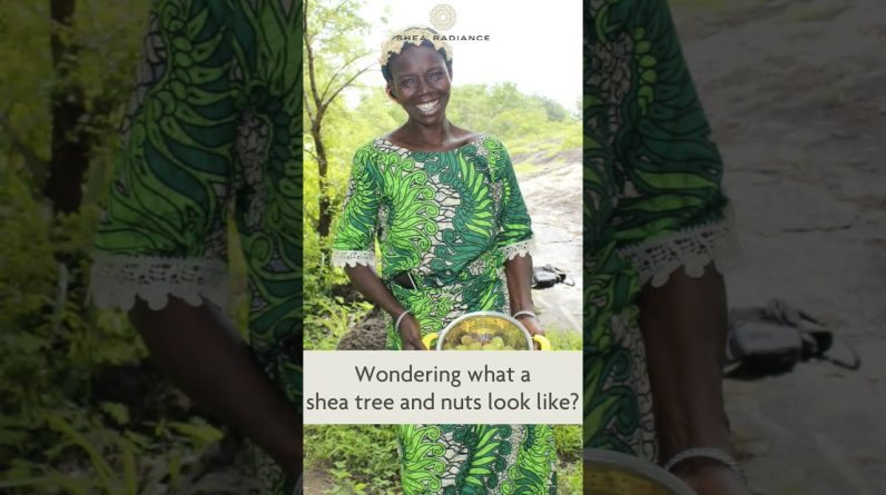 1766850411 maxresdefault