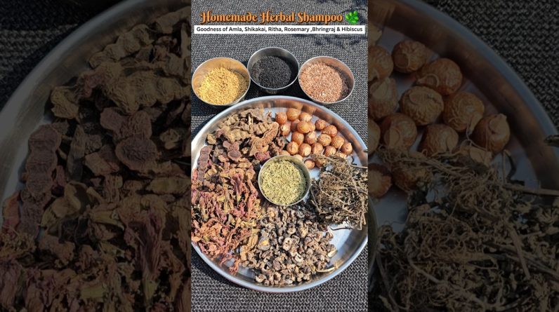 1766910427 maxresdefault