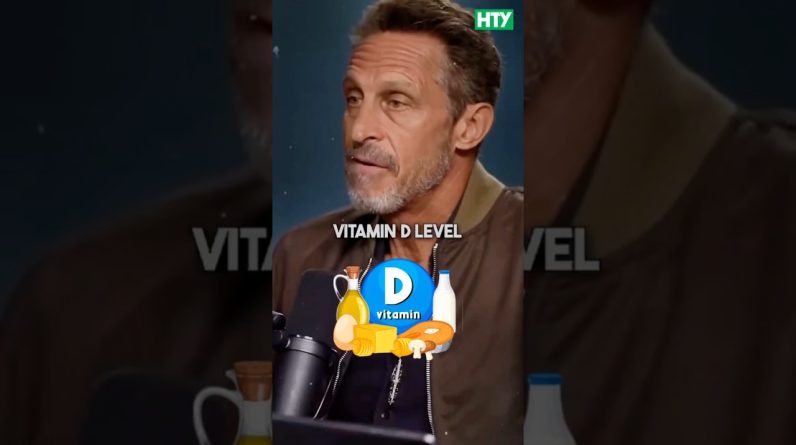 1766914065 maxresdefault