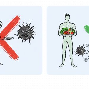 1766920554 maxresdefault