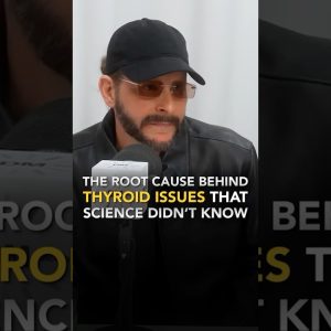 1766921685 maxresdefault