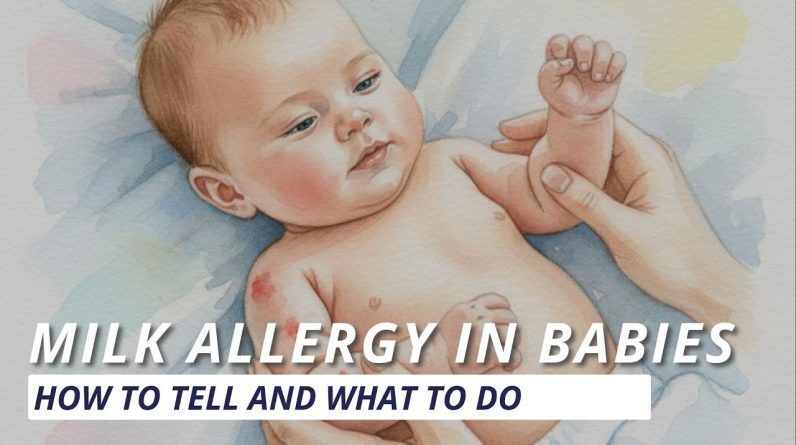 1766924205 maxresdefault