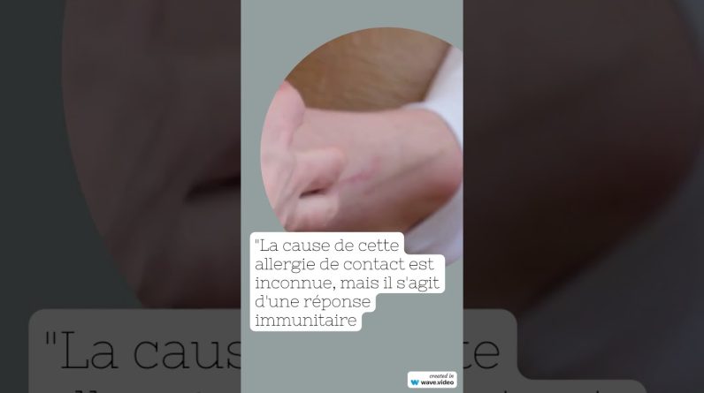 1766949850 maxresdefault