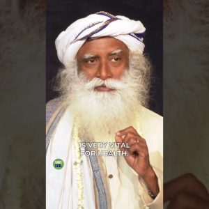 1766954153 maxresdefault