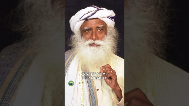 1766954153 maxresdefault