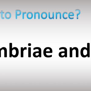 1767022787 maxresdefault