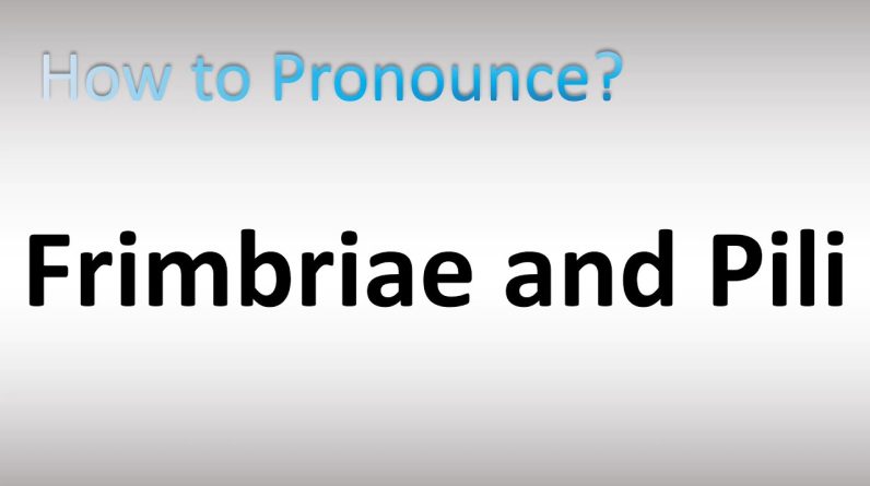 1767022787 maxresdefault