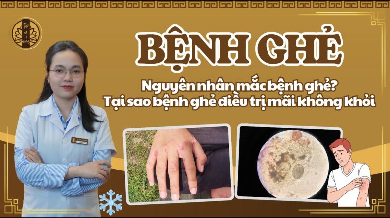 1767088545 maxresdefault