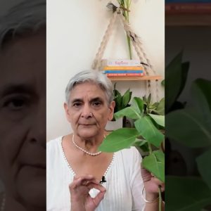 1767103609 maxresdefault