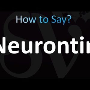 1767114369 hqdefault