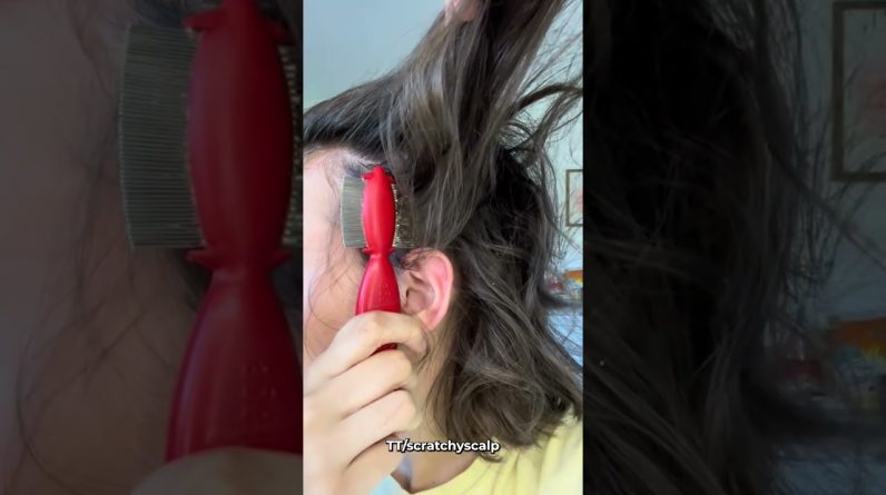 1767174292 maxresdefault