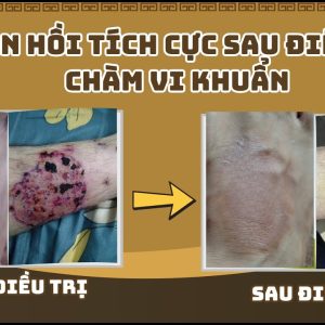 1767632393 maxresdefault