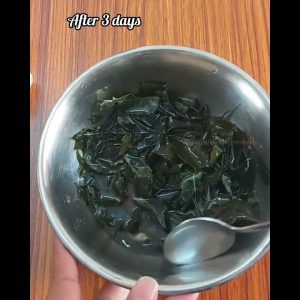 1767705244 maxresdefault