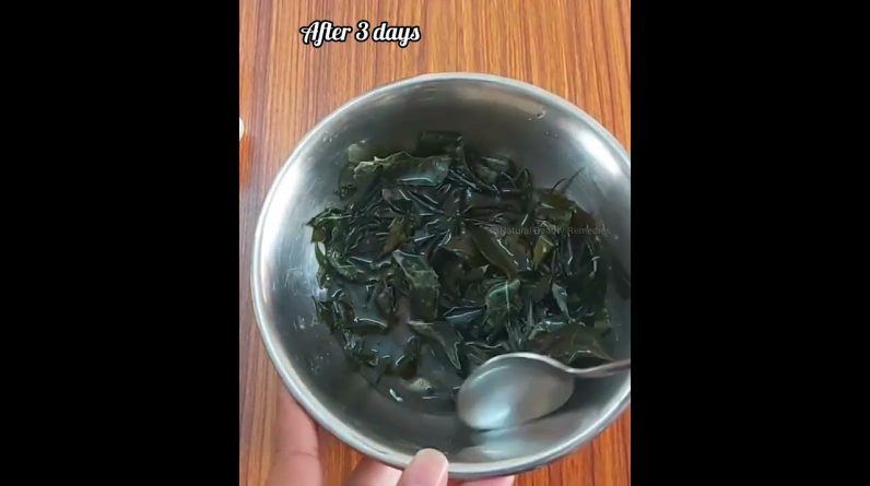 1767705244 maxresdefault