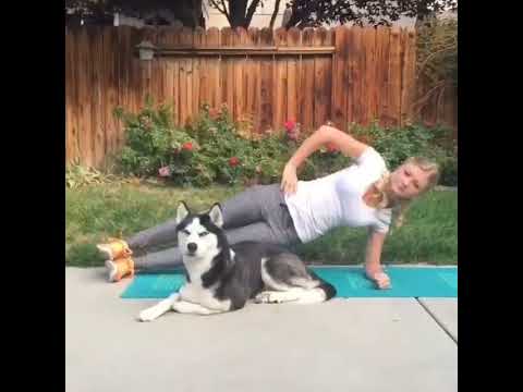 1767859289 hqdefault