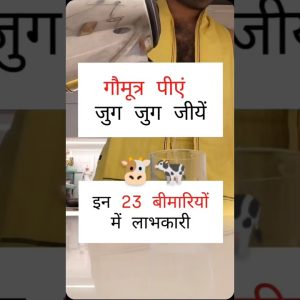 1767979155 maxresdefault