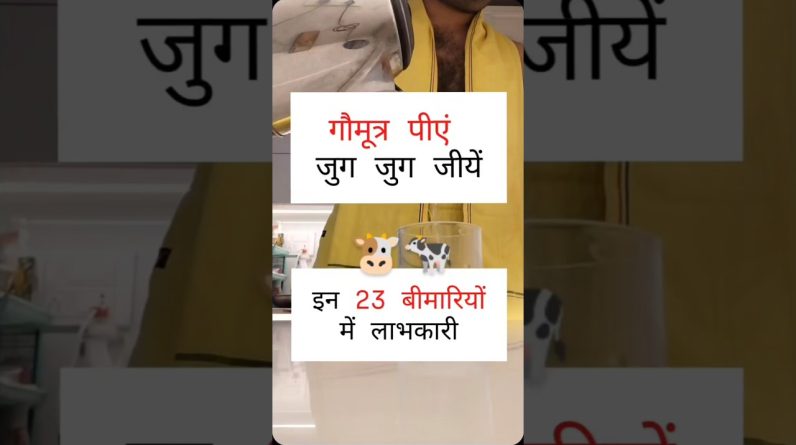 1767979155 maxresdefault