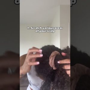 1768165484 maxresdefault