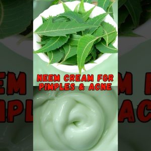 1768396379 maxresdefault