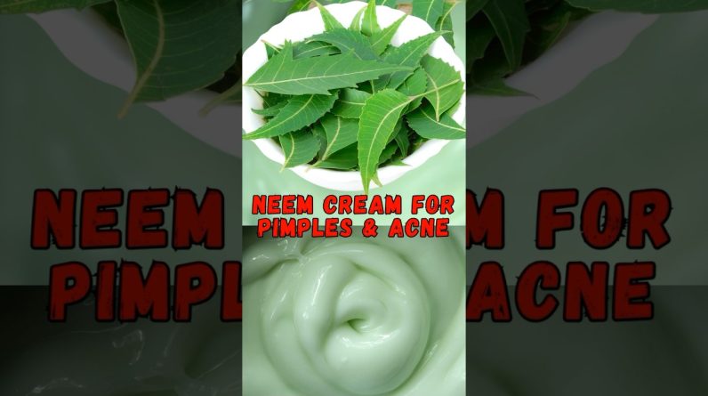 1768396379 maxresdefault