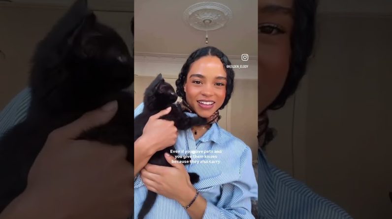 1768399755 maxresdefault