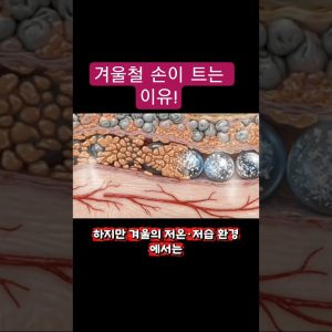 1768403415 maxresdefault