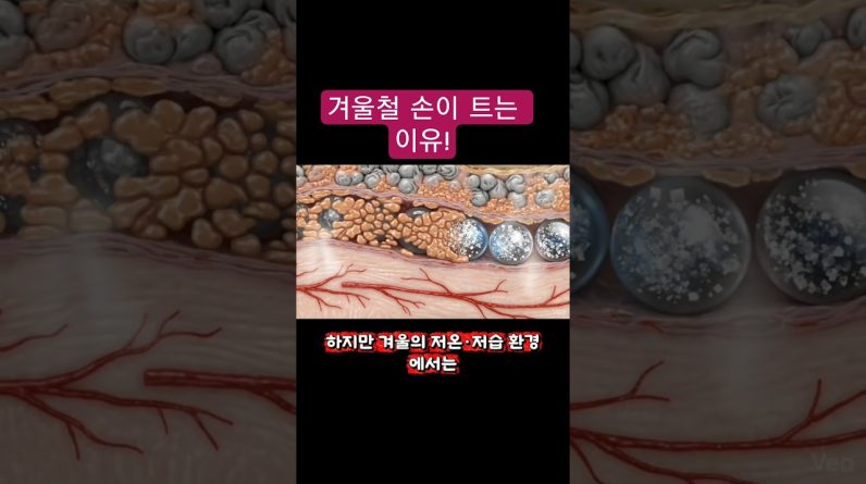 1768403415 maxresdefault