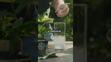 1768411007 maxresdefault