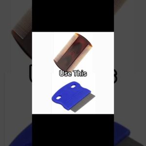 1768473037 maxresdefault