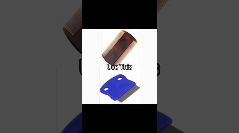 1768473037 maxresdefault