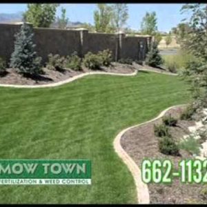 1768477305 hqdefault