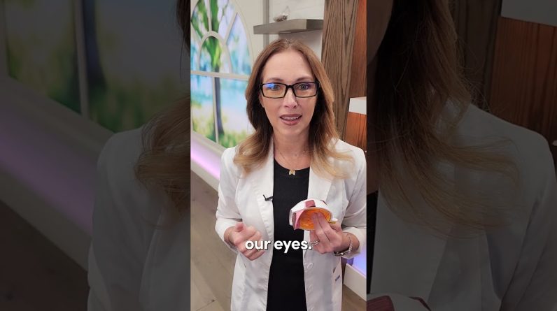 1768550512 maxresdefault