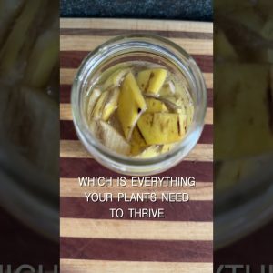 1768557611 maxresdefault