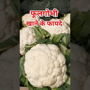 1768590168 maxresdefault