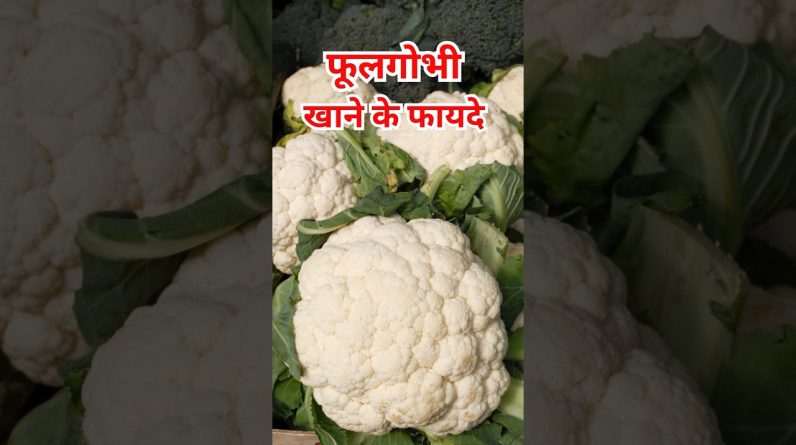 1768590168 maxresdefault