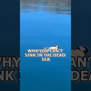 1768741669 maxresdefault