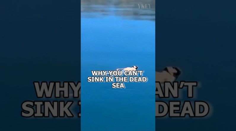 1768741669 maxresdefault