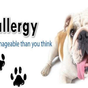 1768843366 maxresdefault