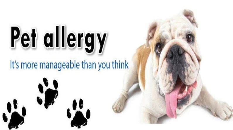 1768843366 maxresdefault