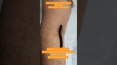 1768898223 maxresdefault