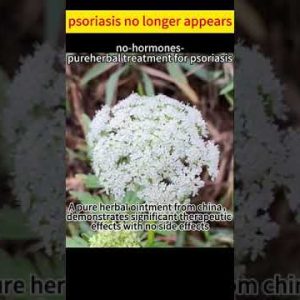 1768909173 hqdefault