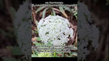 1768909173 hqdefault