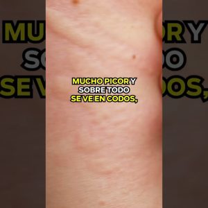 1768909238 maxresdefault