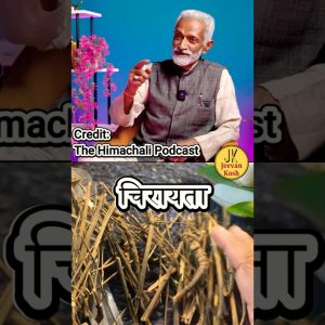 1768993914 maxresdefault