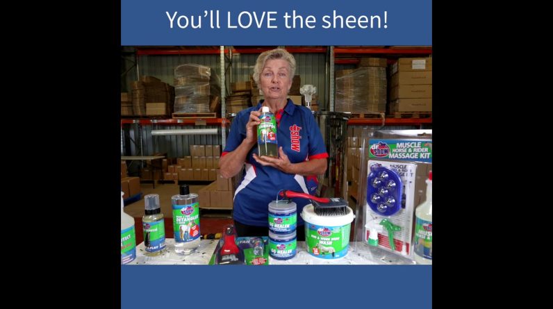 1769004010 maxresdefault